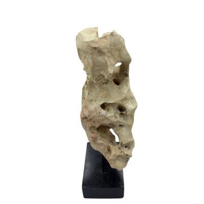 Indonesian Coral Stone On Teak Stand For Sale - Image 4 of 5