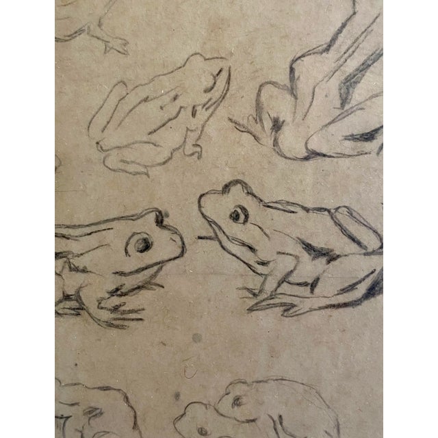 Modern Hans Thoma, Study Frogs, 1890s, Pencil & Paper For Sale - Image 3 of 8