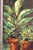 Green Pair of houseplant paintings - heavily textured - 70s paintings - midcentury - boho - green paintings - still life - vertical painting -gift For Sale - Image 8 of 10
