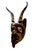 Wood Mexican Ceremonial Wall Decor Dance Mask For Sale - Image 7 of 8