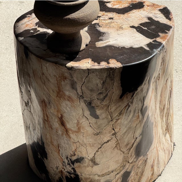 Side Table in Petrified Wood with Black Spots, 1980s For Sale - Image 15 of 18