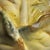 Vintage Kaldun & Bogle Majolica-Style Cabbage Ceramic Tureen For Sale - Image 9 of 10