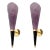 Purple Murano Glass Sconces, by Mila Schon Italy 1970s, Mid Century Modern For Sale
