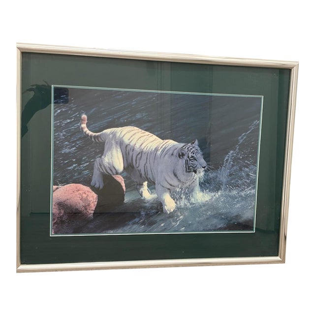 1990s Framed Photograph "White Tiger" Realism Landscape in Silver Frame For Sale