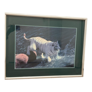 1990s Framed Photograph "White Tiger" Realism Landscape in Silver Frame