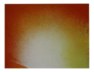 Into the Light, 2019