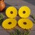 This set of four ceramic yellow sunflower shaped harvest spice serving plates is perfect for adding a touch of country...