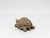 Vintage Reconstituted Stone Tortoise or Turtle Garden Ornament, England 1970s For Sale In New York - Image 6 of 8