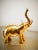 Vintage Gold Brass Elephant For Sale - Image 11 of 12