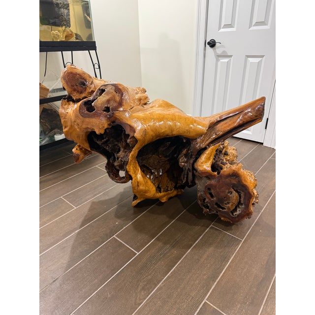 One-of-a-kind sculptural furniture piece crafted from a massive natural tree root, featuring dramatic organic form, rich...