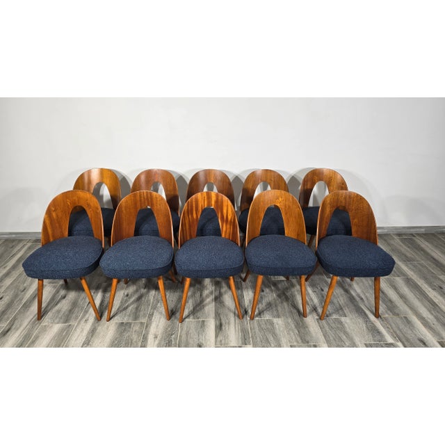 Dining Chairs by Antonin Suman, 1960s, Set of 10 For Sale - Image 4 of 10