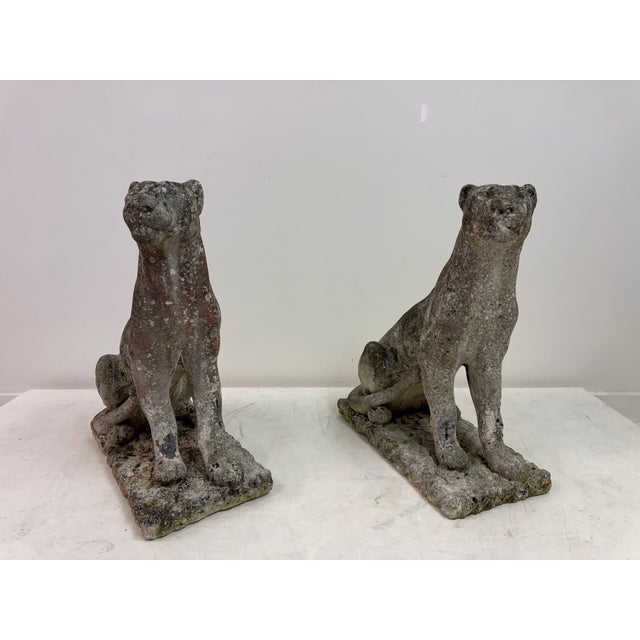 Stone Large Panthers or Jaguars, 1960s, Weathered Stone, Set of 2 For Sale - Image 7 of 17