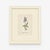 Set of Twelve Antique Alpine Botanical Chromolithographs Circa 1909 in Custom Frames. For Sale - Image 11 of 15