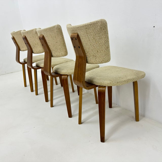Dutch Plywood Dining Chairs by Cor Alons, 1960s, Set of 4 For Sale - Image 18 of 18