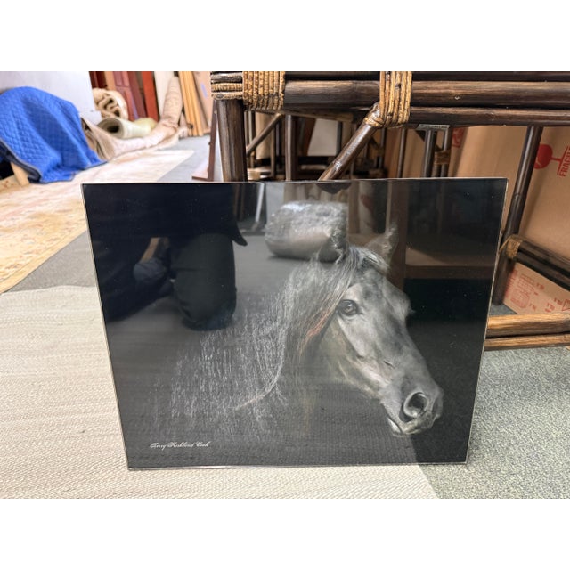 Realism Terry Kirkland Cook Friesian Ster Mare Brechtsje Acrylic Print For Sale - Image 3 of 12
