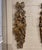 French Pair of Mid-Century Italian Louis XVI Giltwood Musical Wall Trophies For Sale - Image 3 of 11