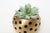 Mid-Century Modern Brass Ball Candle Holder For Sale - Image 3 of 4