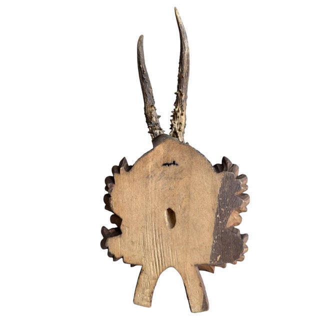 1900 - 1909 Roe Deer Trophy 240 Black Forest Antlers Decor For Sale - Image 5 of 5