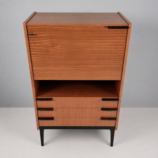 Vintage Cabinet by Francisek Mezulanik, 1960s, in Good conditions. Designed 1960 to 1969