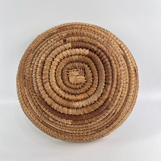 Early 20th Century Early 20th Century Tonga Basket Zambia 14inch MATTER COLLECTION For Sale - Image 5 of 7
