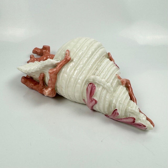 Antique 19th Century Royal Worcester Porcelain Conch Sea Shell & Coral Wall Pocket Vase For Sale - Image 11 of 12