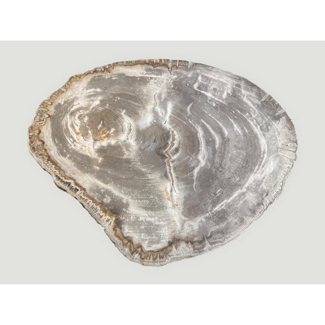 Andrianna Shamaris High Quality Petrified Wood Slab Top Side Table For Sale - Image 10 of 18