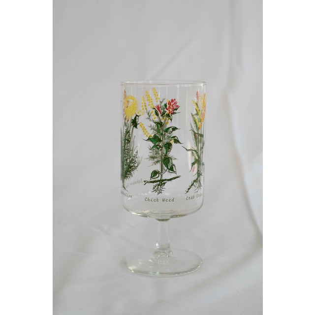 Vintage Neiman Marcus “Weed & Wildflower” Botanical Stem Glasses - Set of 6 For Sale - Image 12 of 13
