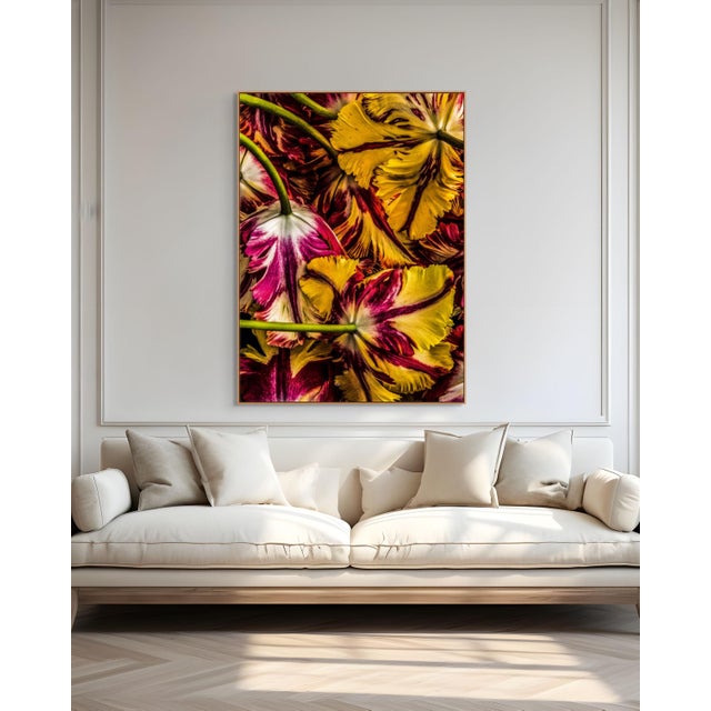 Contemporary Tulipa “Flaming Parrot” I by Dale Grant – Signed Limited Edition Botanical Photograph | Archival Fine Art Print (Unframed) For Sale - Image 3 of 6