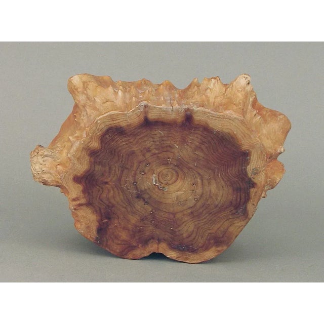 Vintage Burl Wood Bowl For Sale In San Francisco - Image 6 of 13