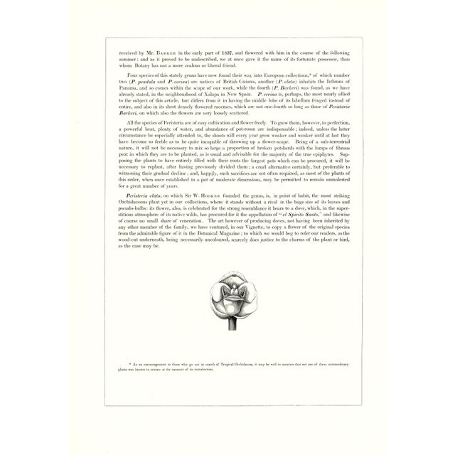 1970s Large 1973 Orchid Flower Lithograph "Peristeria Barkeri" (Mr. Barker's Peristeria) After James Bateman For Sale - Image 5 of 7