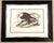 Late 20th Century Late 20th Century Framed Audubon Bird Prints - A Pair For Sale - Image 5 of 15