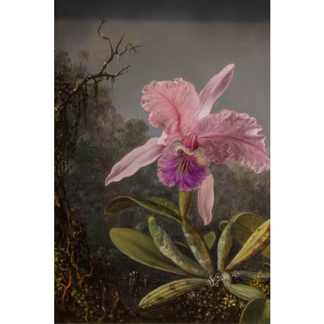 Not Yet Made - Made To Order 1871 Vintage Hummingbird and Orchid Tropical Art Print by Martin Johnson Heade - 48" X 36" For Sale - Image 5 of 7