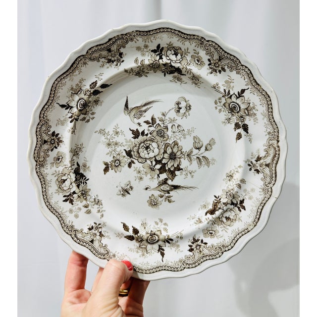 Early 19th Century Set of Antique Podmore Walker and Co English Brown Transferware Dinner Plates For Sale - Image 5 of 10