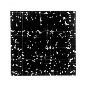 Contemporary Abstract Photography on Hahnemuhl Paper "To and Fro 2" by Tenesh Webber