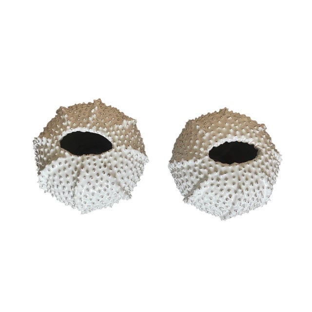 Italian Pair of Vintage Italian White Ceramic Sea Urchin Vases For Sale - Image 3 of 12