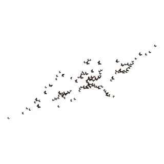 Butterfly Wall Sculpture Large Horizontal Flight Right For Sale