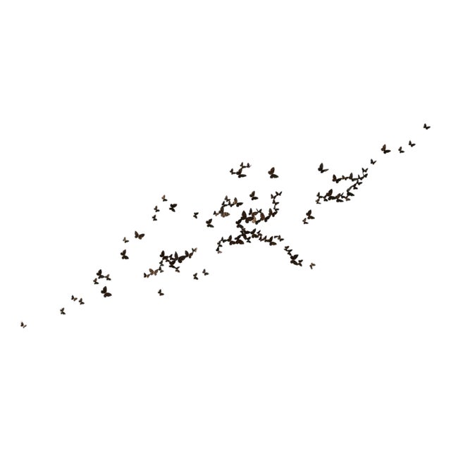 Butterfly Wall Sculpture Large Horizontal Flight Right For Sale