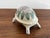 Ceramic 1980s Porcelain Lidded Turtle Box For Sale - Image 7 of 11