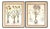 Basilius Besler Botanical Engravings - a Pair For Sale