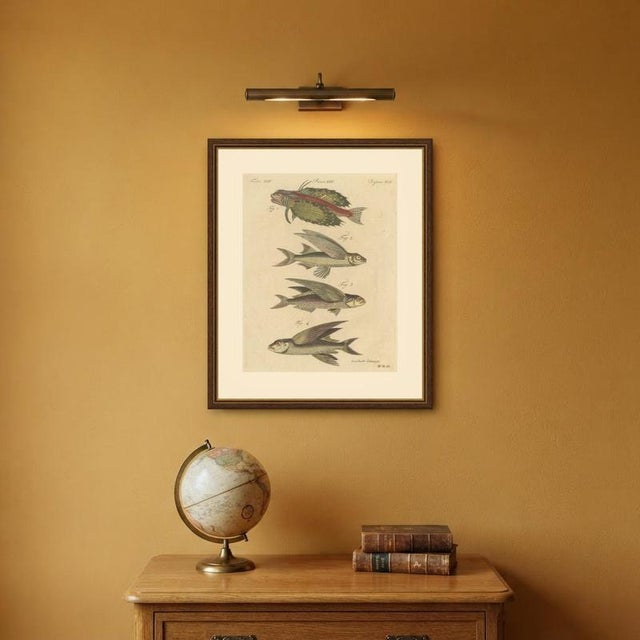Bertuch, Flying Fish with a Flying Gurnard, 1805, Print For Sale - Image 10 of 12