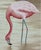 36" * H96" * 2ps, Neoclassical Hand-Painted Flamingo Luxury Retro Seamless Wall Mural For Sale - Image 4 of 4