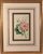 Robert Stark Lessons From the Vegetable World: Robert Mackenzie Stark Botanical Prints 1858 For Sale - Image 4 of 13