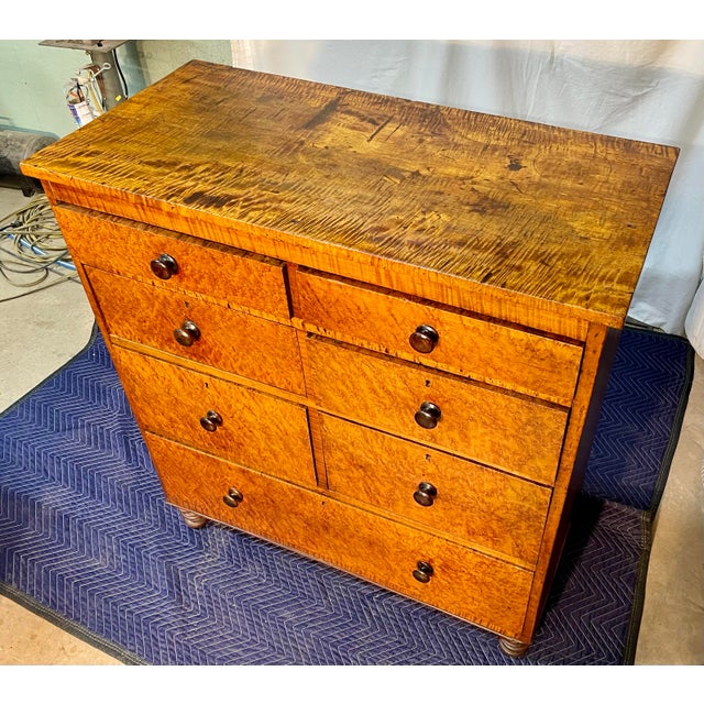 Early 19th Century Antique Curly Maple Chest of Drawers, Late Federal Early Empire Period For Sale - Image 5 of 16