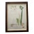 Late 20th Century Botanical Print, Framed For Sale