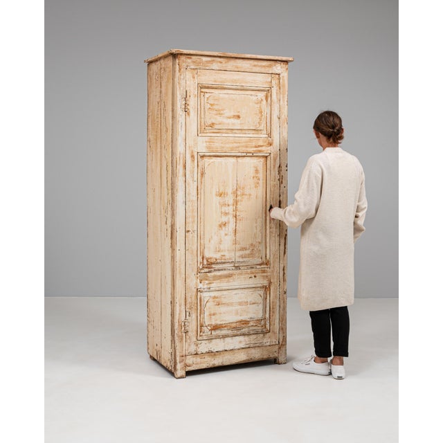 19th Century French Wood Patinated Cabinet For Sale - Image 9 of 12