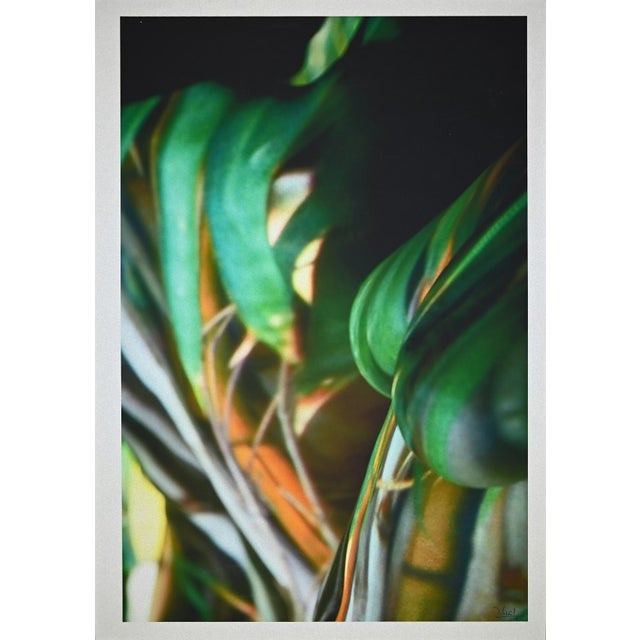 No Title is an original photograph realized by Nikhil Bhandari (Rajasthan,1969) in 2008. This work is part of the...