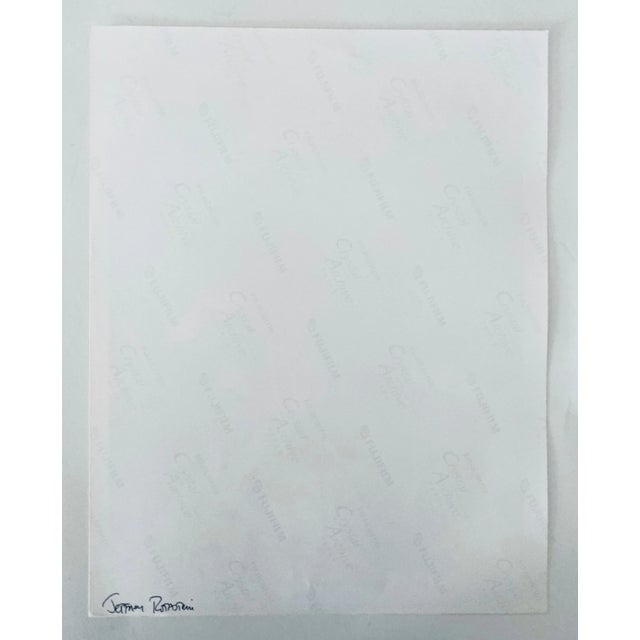 1990s Jeffrey Rothstein, Flora Fauna Series Vintage Color Photograph Abstract Flower Fuji Crystal Photo, c.1998 For Sale - Image 5 of 5