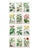 After William Fitch, Botanical Illustrations, 1838, Engravings, Set of 12 For Sale - Image 14 of 14