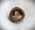 Antique Petite 10k Round Baby Sepia Portrait Pin For Sale - Image 10 of 10