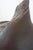 Vestiges II Sculptural Ceramic Vase by Audrey Vo Van For Sale - Image 13 of 15